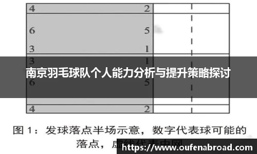 南京羽毛球队个人能力分析与提升策略探讨